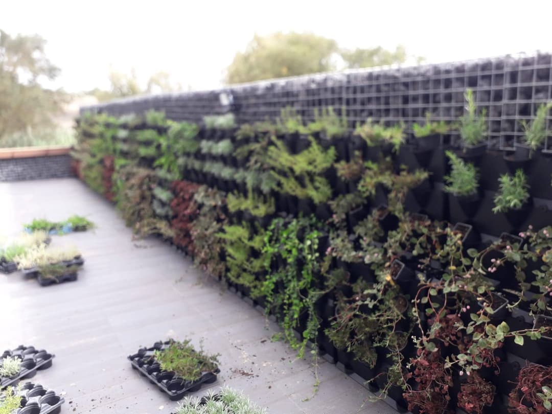 Construção de jardins · projeto 1